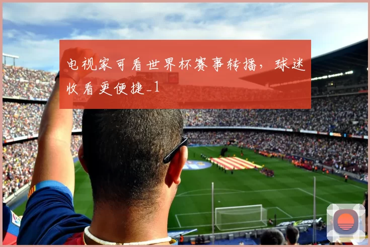 电视家可看世界杯赛事转播，球迷收看更便捷_1