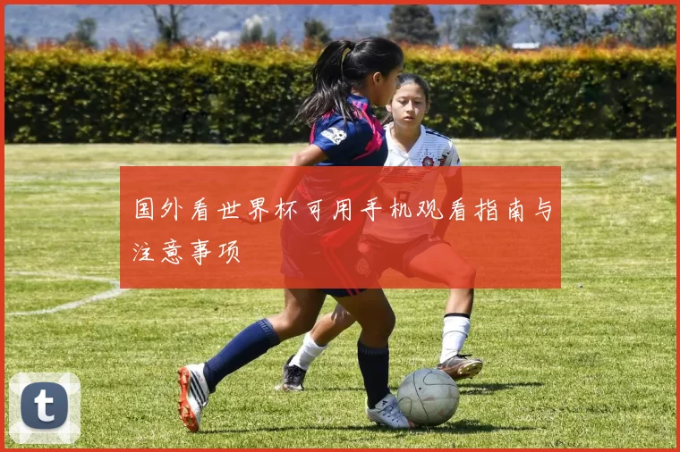 国外看世界杯可用手机观看指南与注意事项