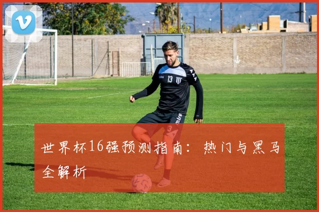 世界杯16强预测指南:热门与黑马全解析