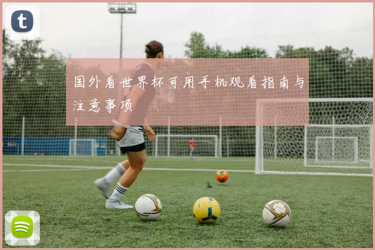 国外看世界杯可用手机观看指南与注意事项