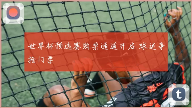世界杯预选赛购票通道开启 球迷争抢门票