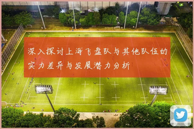深入探讨上海飞盘队与其他队伍的实力差异与发展潜力分析