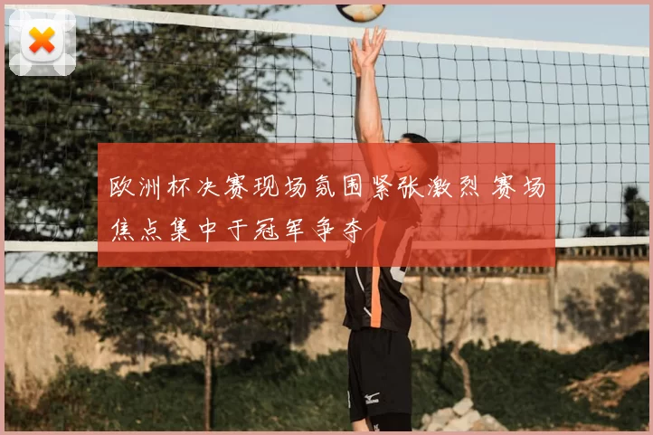 欧洲杯决赛现场氛围紧张激烈 赛场焦点集中于冠军争夺