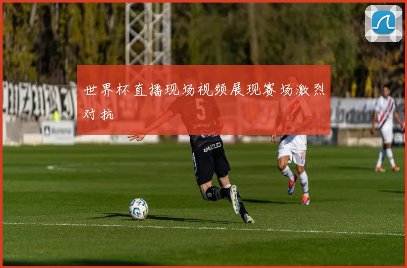 世界杯直播现场视频展现赛场激烈对抗