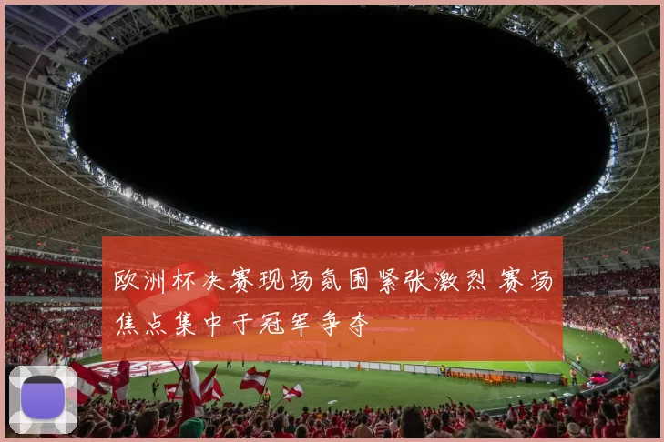 欧洲杯决赛现场氛围紧张激烈 赛场焦点集中于冠军争夺